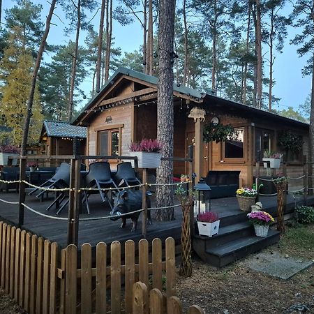 Hotel Dzik W Zagrodzie Borsk Esterno foto