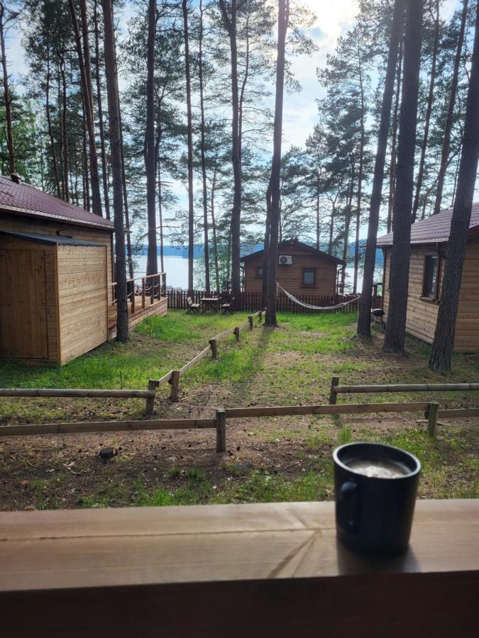 Hotel Dzik W Zagrodzie Borsk Esterno foto