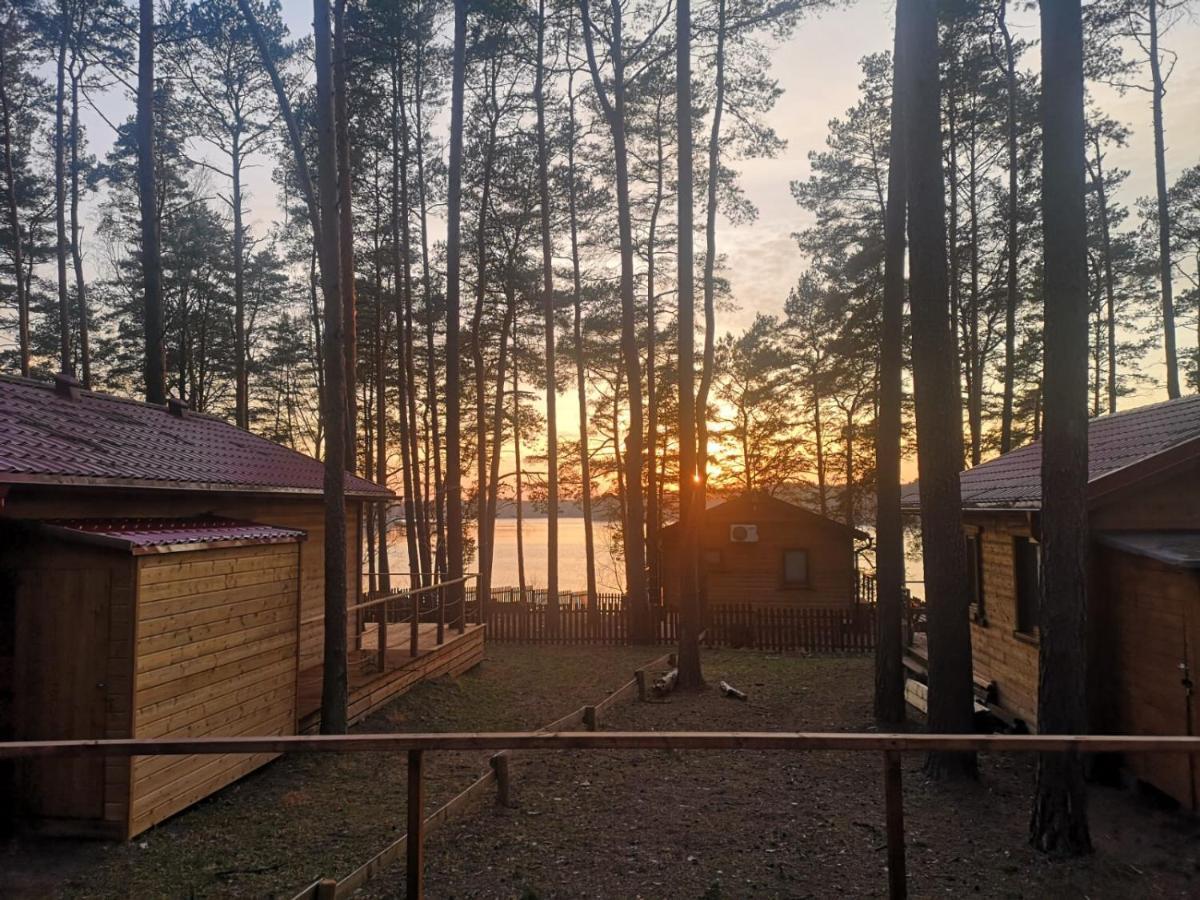 Hotel Dzik W Zagrodzie Borsk Esterno foto