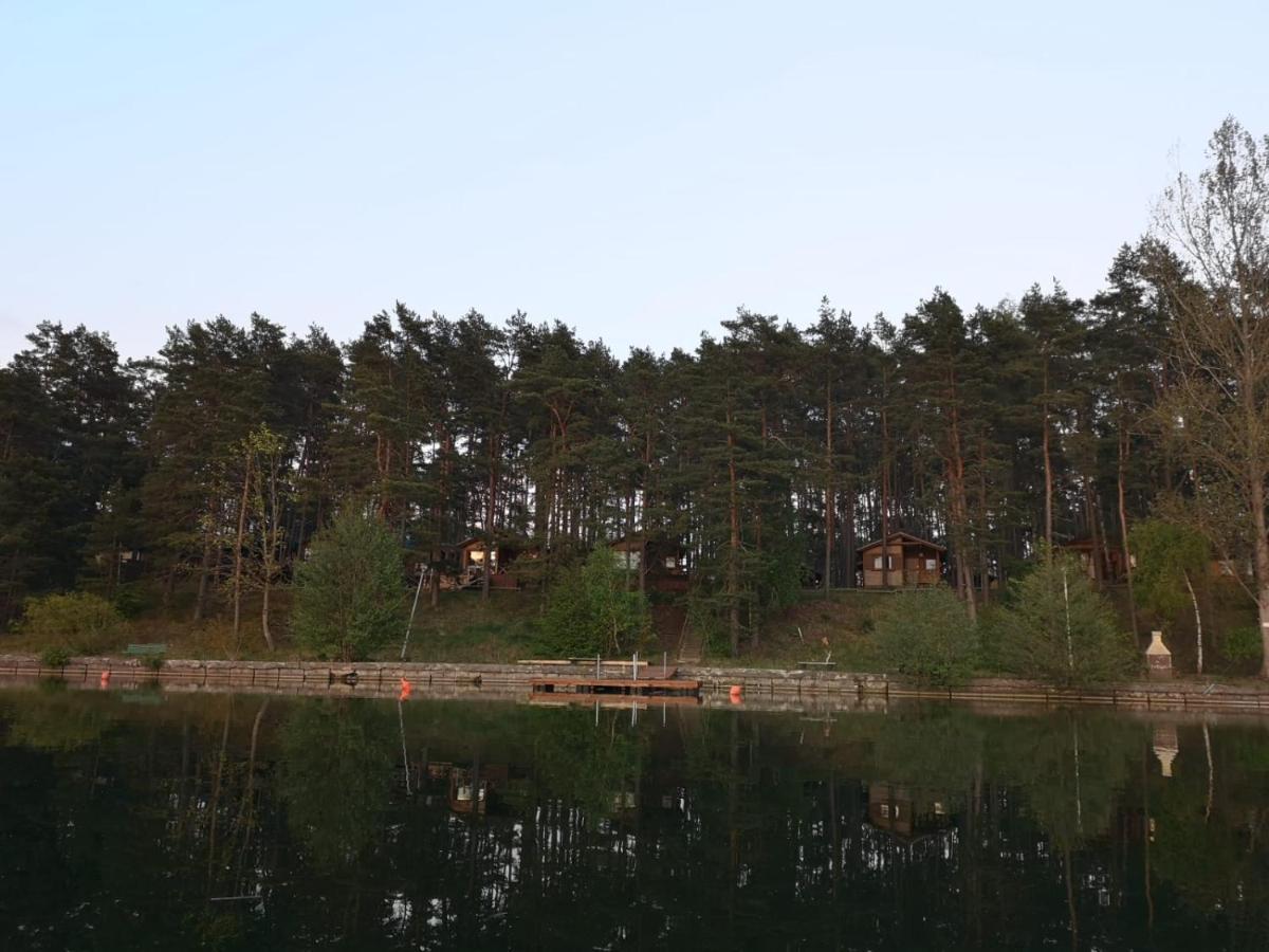 Hotel Dzik W Zagrodzie Borsk Esterno foto