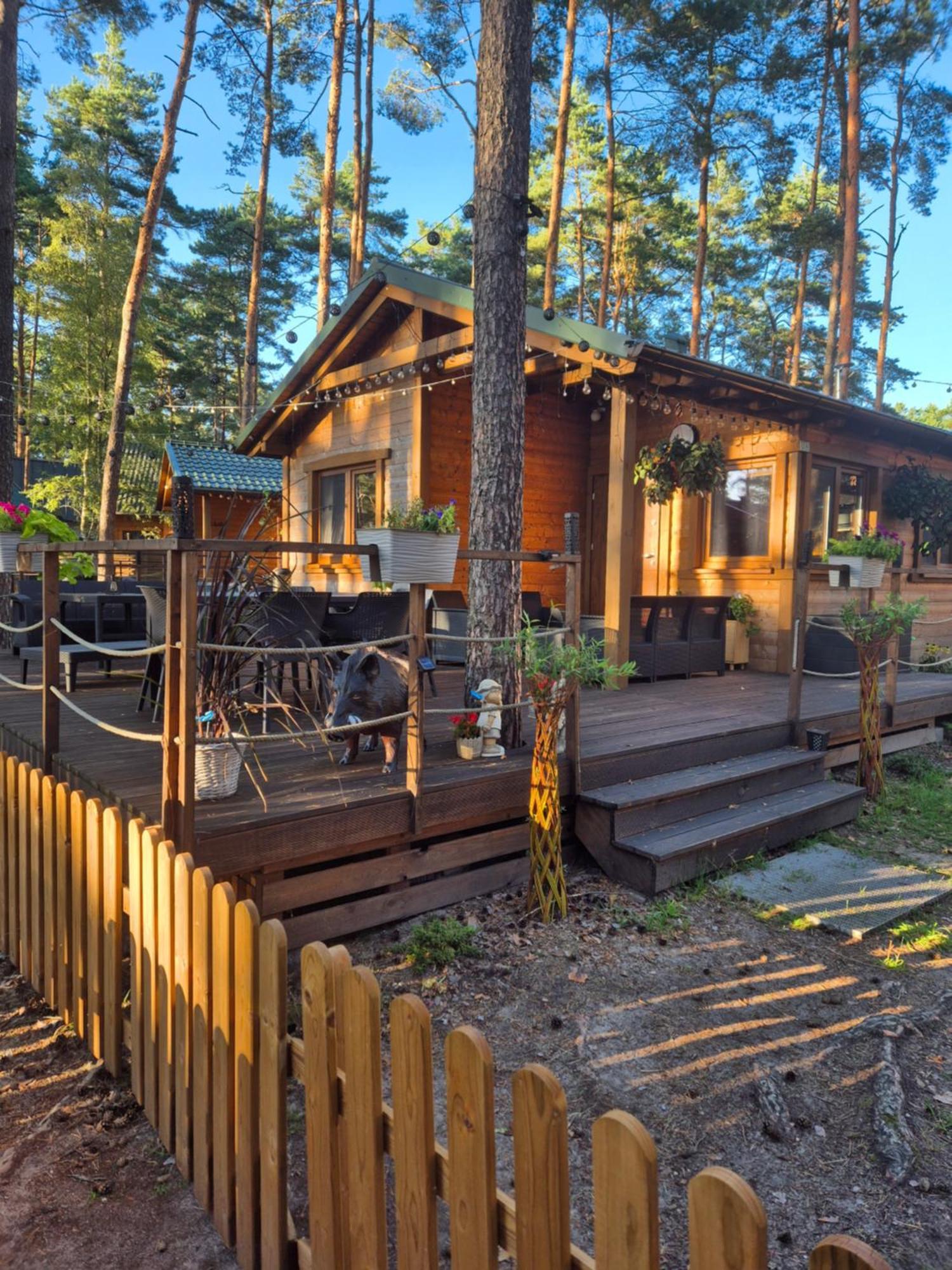 Hotel Dzik W Zagrodzie Borsk Esterno foto