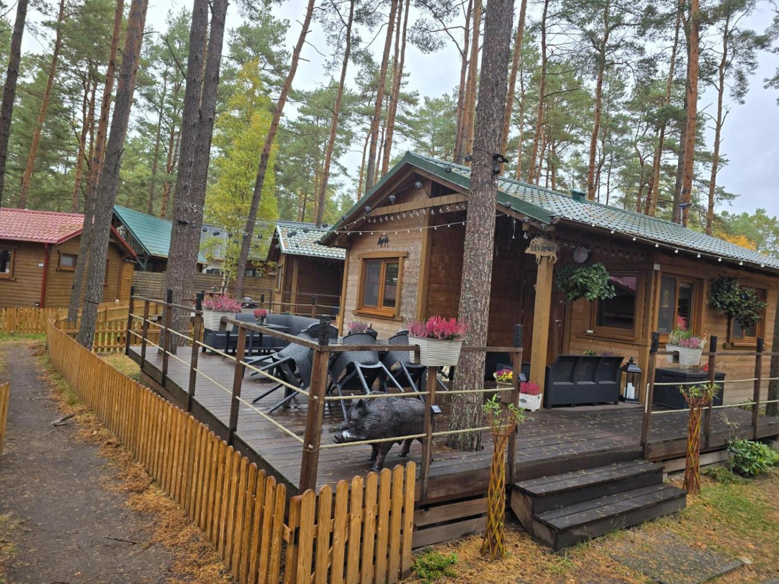 Hotel Dzik W Zagrodzie Borsk Esterno foto