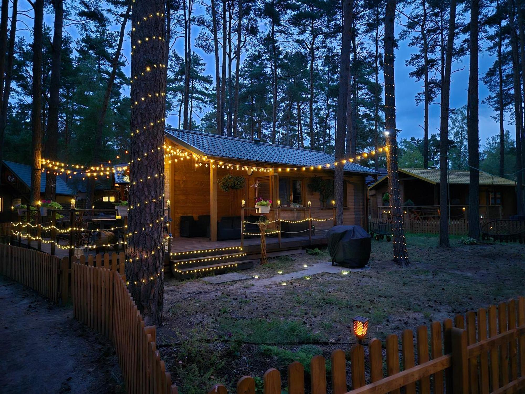 Hotel Dzik W Zagrodzie Borsk Esterno foto