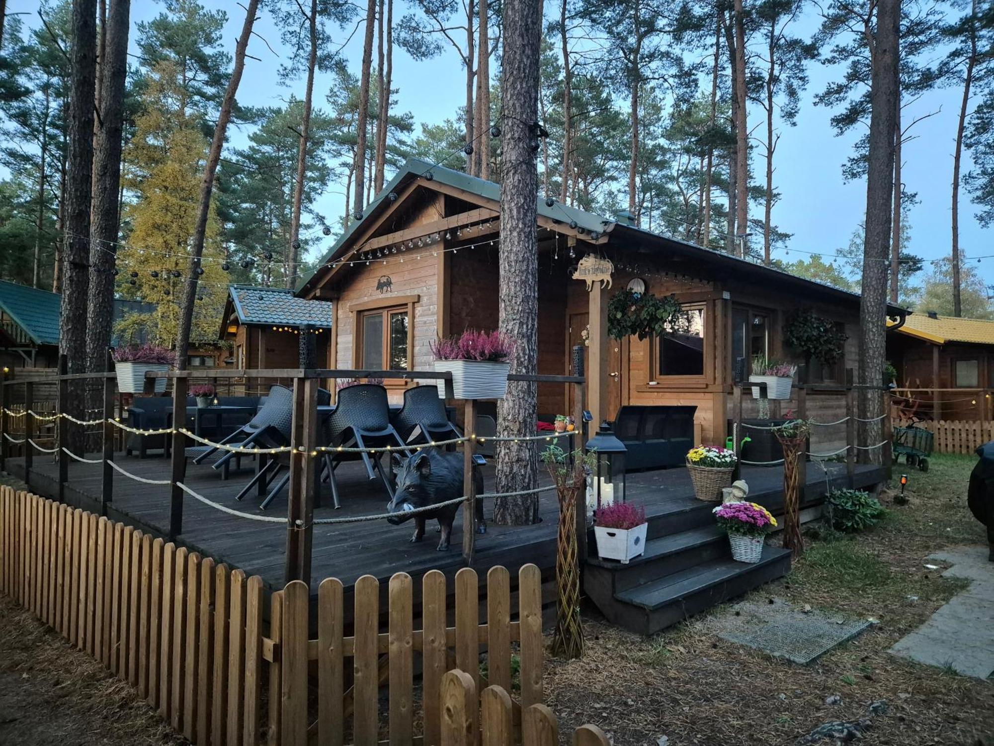 Hotel Dzik W Zagrodzie Borsk Esterno foto